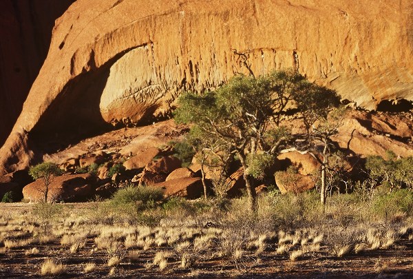 Ayer's rock - closeup.Photo: L. Bobke